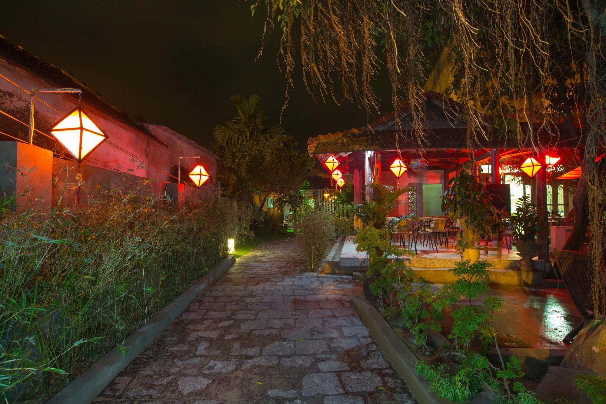 הוי אן Herbal Tea Homestay מראה חיצוני תמונה